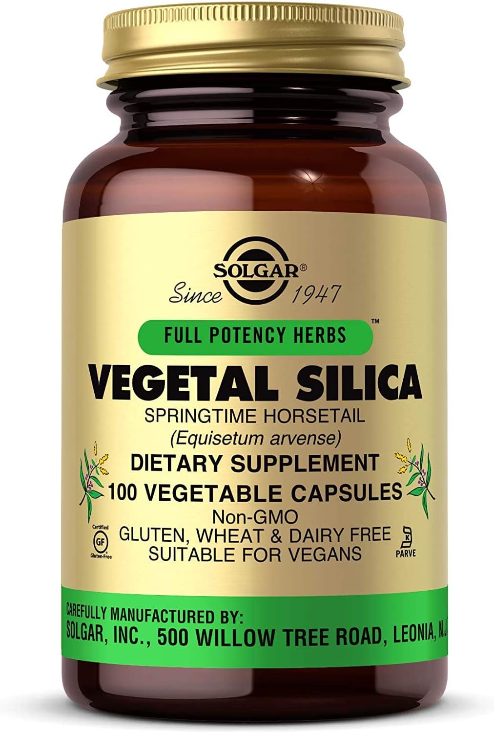 Vegetal Silica For Hair Growth Solgar FP Vegetal Silica, 100 Capsules: Buy Online at Best Price in UAE