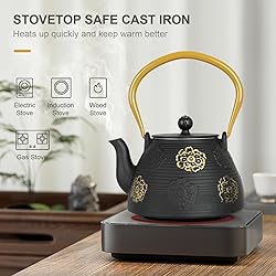 Ufine Cast Iron Teapot with Infuser for Loose Leaf