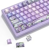Violet PBT keycaps,Purple Double Shot Keyboard Key