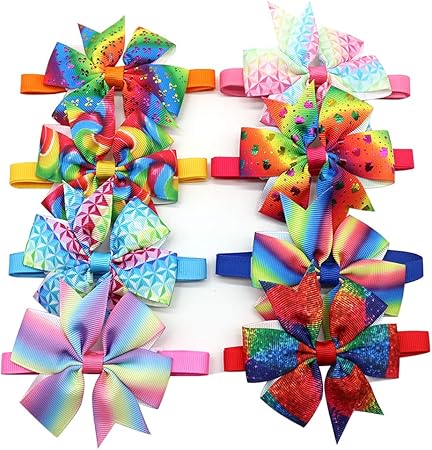 cat and dog accessories