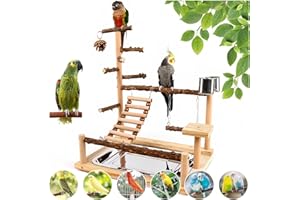BYGYTYO Natural Wood Bird Play Stands for Cockatiel - Parrot Perch Stand with Removable Tray and 2 Stainless Steel Cups, Parrot Swing