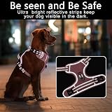 HEELE No-Pull Dog Harness Small Reflective Front & Back Leash Attachments Pink S view 7