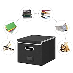 Forlogic File Box Organizer with lid, Collapsible