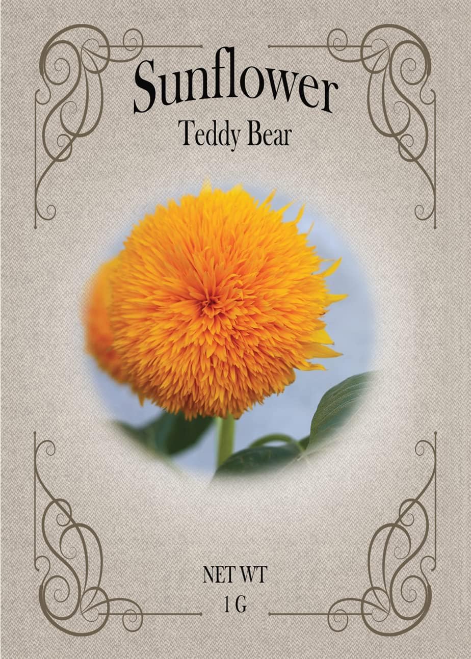 Black Duck Brand Set of Flower Seed Packets! Flower Seeds in Bulk - Great for Creating The Garden of Your Dreams! (200, Teddybear Sunflower) Image