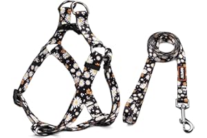 QQPETS Dog Harness Leash Set Adjustable Heavy Duty No Pull Halter Harnesses for Small Medium Large Breed Dogs Back Clip Anti-Twist Perfect for Walking (M(19"-26" Chest Girth), White Daisy)