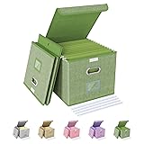 Oterri 2 Pack File Organizer Box,File Box,Small