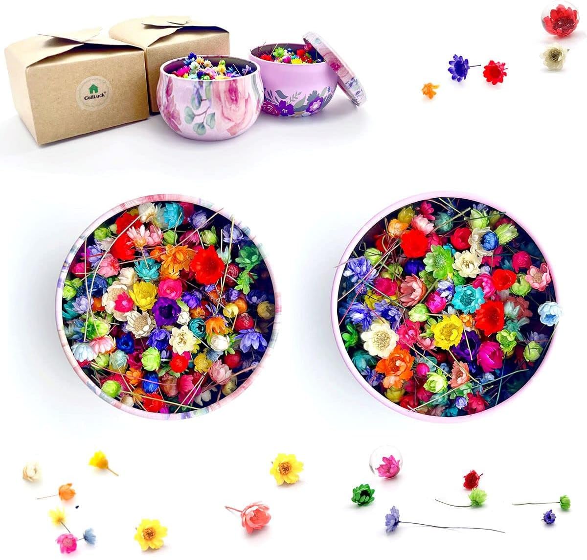 Dried & Preserved Flora - CellLuck Mini Dried Flowers for Crafts, Hand-Picked Brazilian Mini Daisy Flowers, About 550PCS Mixed Real Natural Dried Flowers for Epoxy Resin,Jewelry Pendants ,DIY Art Crafts