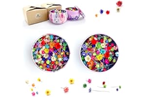 CellLuck Small Dried Flowers for Resin, 600PCs Hand-Picked Brazilian Mini Daisy Dry Flowers, Mixed Real Natural Dried Flowers for Epoxy Resin, Jewelry Pendants, DIY Art Crafts