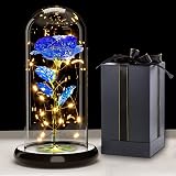 Touloube Galaxy Rose for Her Light Up Rose Glass Dome 8.66in Gift