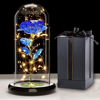 Touloube Galaxy Rose for Her Light Up Rose Glass Dome 8.66in Gift