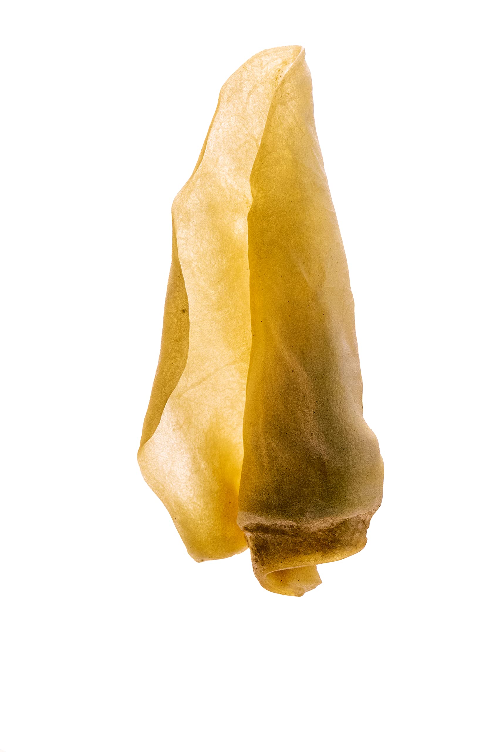 Doodle's Deli Air Dried Beef Ears White 1kg