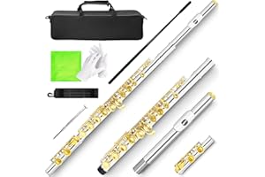 HauKuidt C Flute Closed/Open Hole 16 Keys Obturator Dual-purpose Flute Instrument for Split E key Flutes Grade Beginners with Stand, Carrying Case, Gloves, Cleaning Cloth