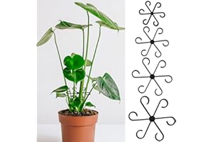 AUGSHY 4 Pcs Plant Stem Holders, Plastic Invisible Plant Support Stakes Indoor Reusable Climbing Houseplant Stem Supports Hoo