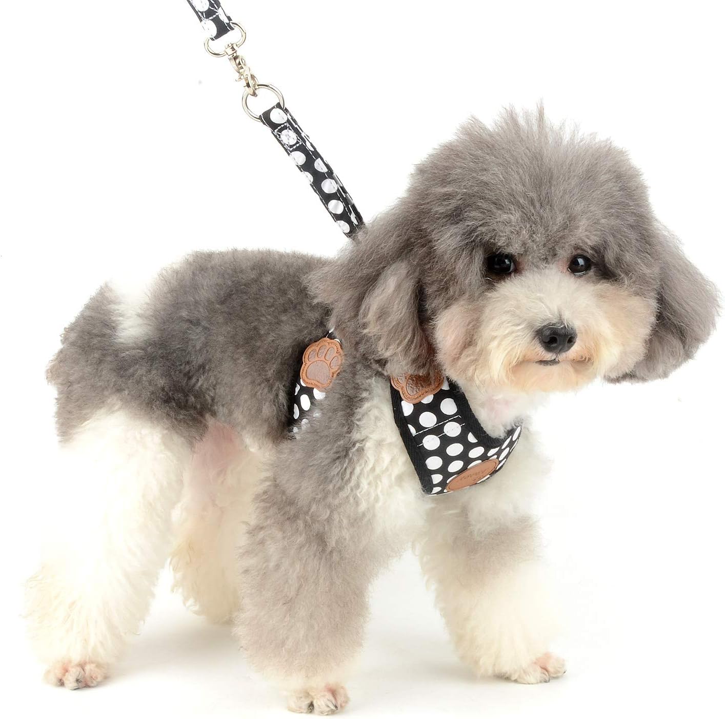SMALLLEE_Lucky_Store New Soft Mesh Nylon Vest Pet Cat Small Medium Dog Harness Dog Leash Set Leads Black M - Image 5