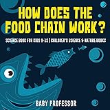 How Does the Food Chain Work? - Science Book for Kids 9-12 | Children's Science & Nature Books