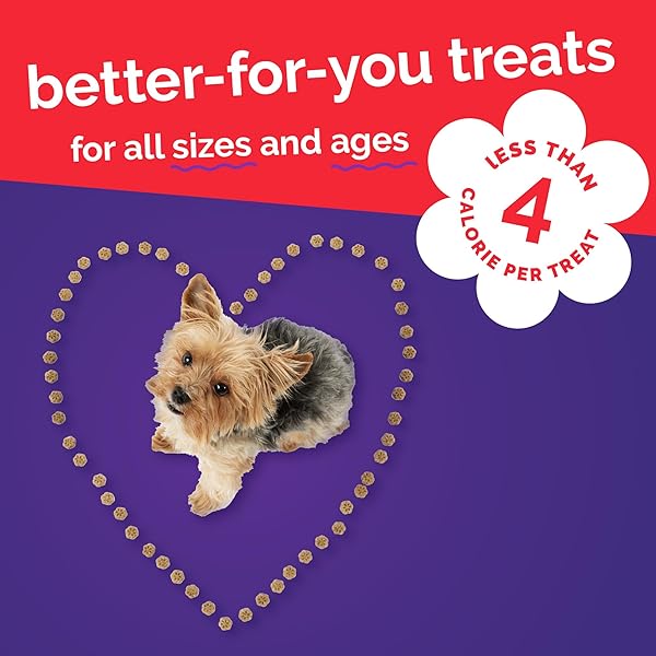 FRUITABLES SKINNY MINI DOG TREATS, HEALTHY SWEET POTATO TREAT FOR DOGS, LOW CALORIE & DELICIOUS, PUPPY TRAINING, FREE OF WHEAT, CORN AND SOY, MADE IN THE USA, BACON AND APPLE FLAVOR, 5OZ