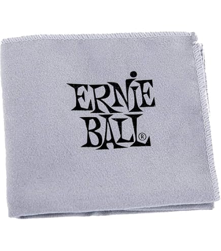 Amazon.com: Ernie Ball Instrument Polish with Microfiber Polish
