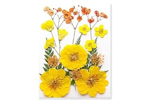 MUCBAFLY Dried Pressed Flowers for Resin, Real Pressed Flowers Dry Leaves Bulk Natural Herbs Kit for Scrapbooking DIY Art Crafts, Nails Décor, Epoxy Resin Jewelry, Candle, Soap Making (Yellow 2)
