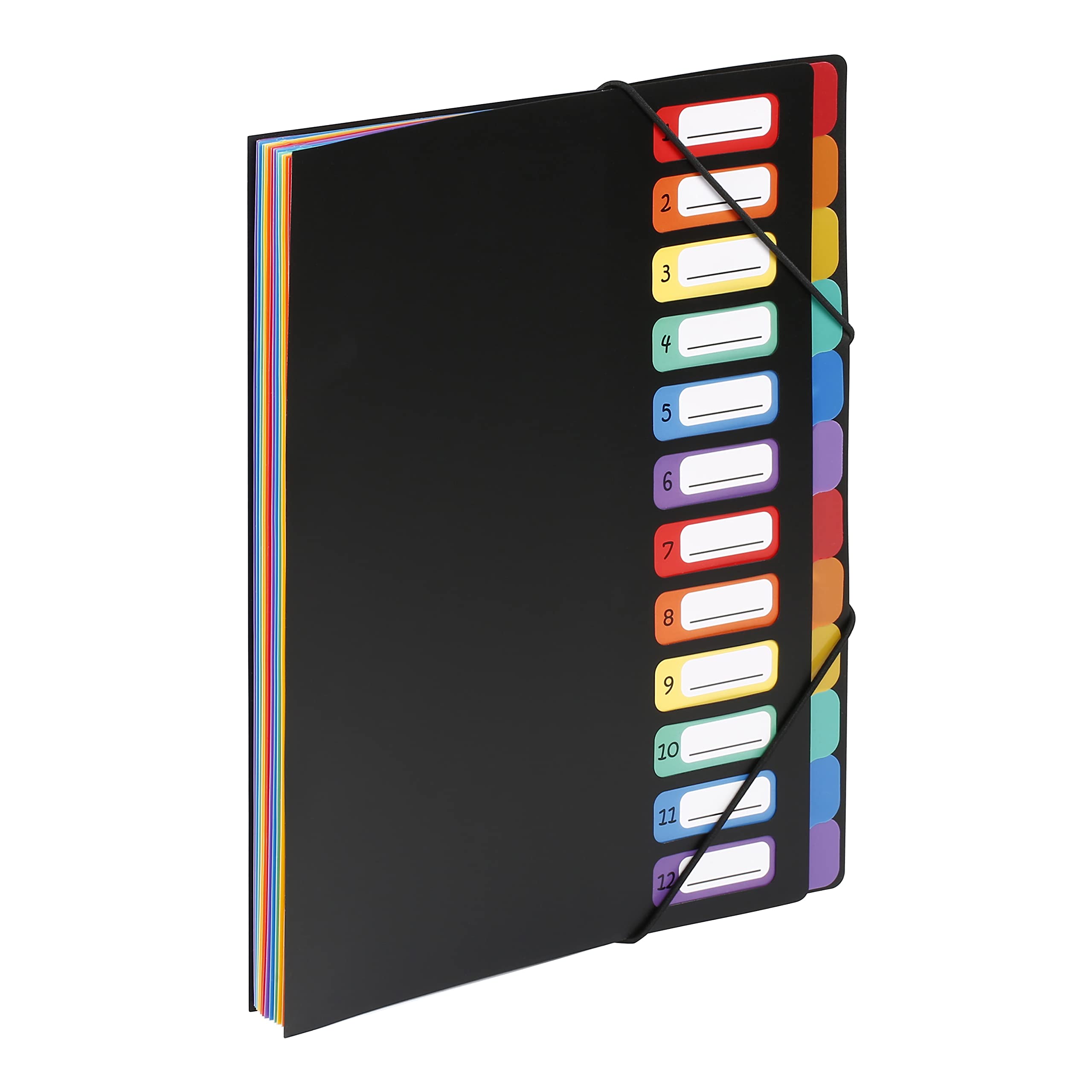 Viquel Rainbow Vertical Accordion Folder 12 Compartments 5/10 Polypropylene Black