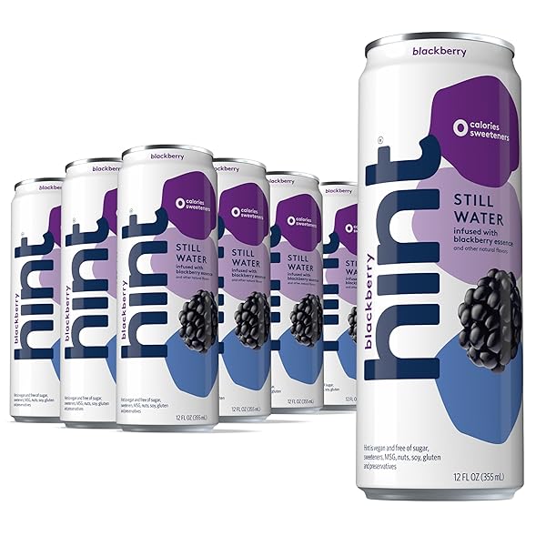 HINT FRUIT-INFUSED CANNED WATER, BLACKBERRY – PURIFIED FLAVORED...
