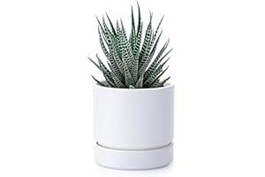 Phoenix Vine 4 Inch Planter Pot with Drainage Hole & Saucer, Deep Water Catch Tray, Straight Cylindrical Round Pot for Plants, Matte White, Pack of 1, 23-B-R-1