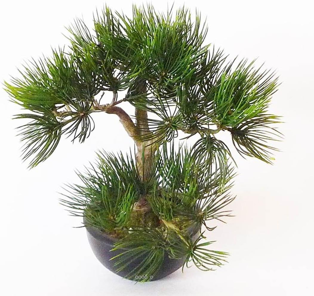 ArtificiellesArtificial Pine Bonsai Height: 33cm, 43 Tufts of Needles in Classy Black Pot
