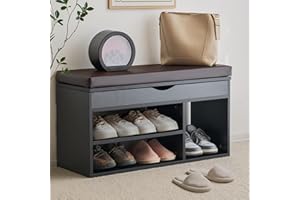 Apicizon Entryway Bench with Shoe Storage, Black, 2-Tier Shoe Rack, Padded Cushion, Wooden Frame