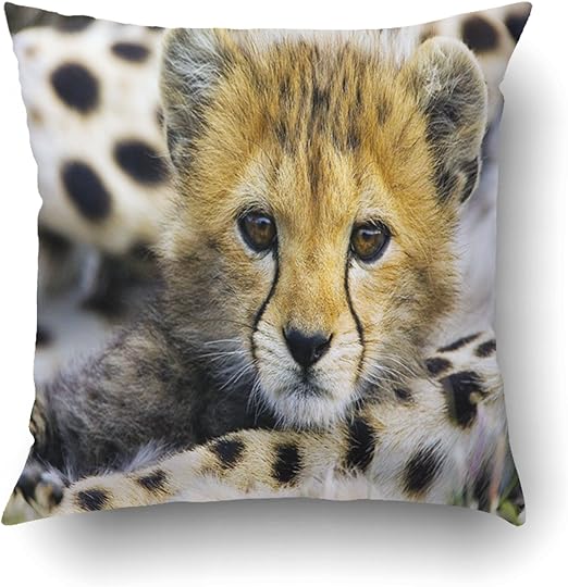 Amazon Com Emvency Pillowcases Dec Cheetah Baby Cute Little