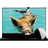 VIVIDSTORM S PRO Motorized Tension Floor Rising Projector Screen 100-inch | Home Cinema Setup |Black housing,VSDSTUST100H