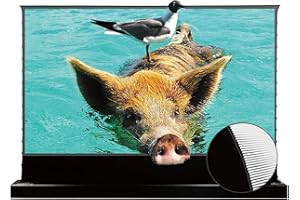 VIVIDSTORM-Projector Screen S PRO 120 inch Portable Folding Indoor Screen with Stand Floor UST Ambient Light Rejecting Home T