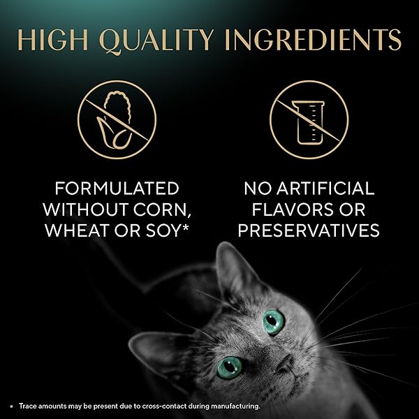 SHEBA MEATY TENDER STICKS SOFT CAT TREATS WITH CHICKEN, TUNA FLAVOR, AND SALMON FLAVOR, 0.14 OZ., 70 COUNT