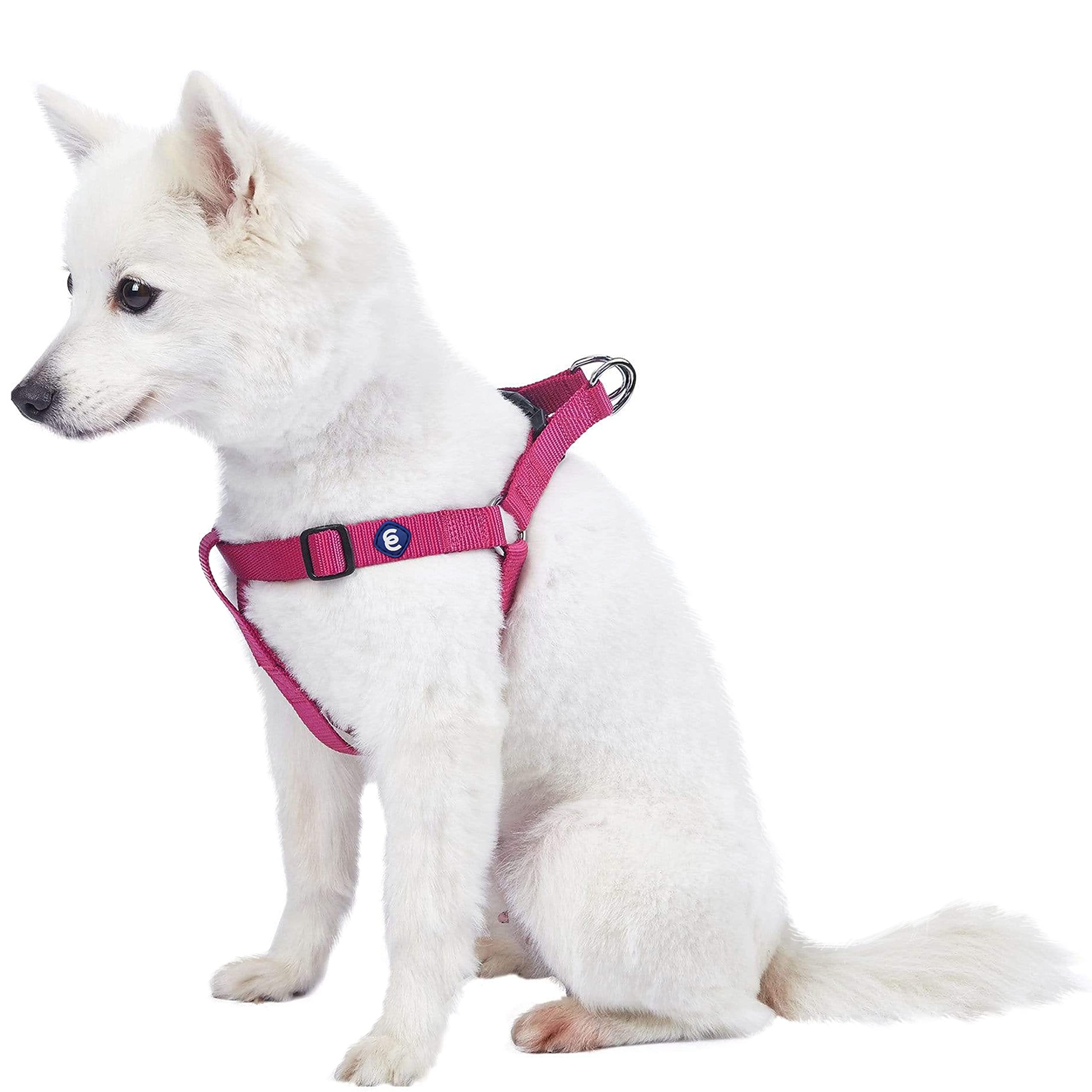 Blueberry Pet Harness. Chest circumference: 51-66 cm, Classic, Solid, Very Berry, Adjustable Nylon, Dog Harness, Matching Collar and Lead Sold Separately.