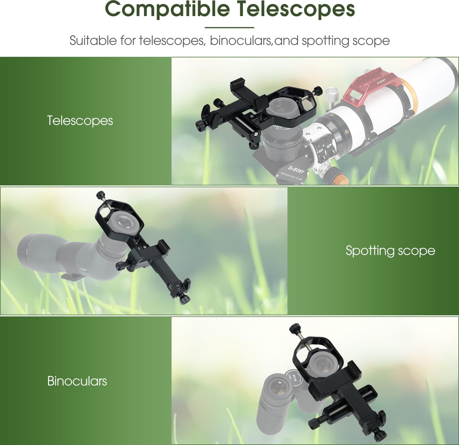 View 6