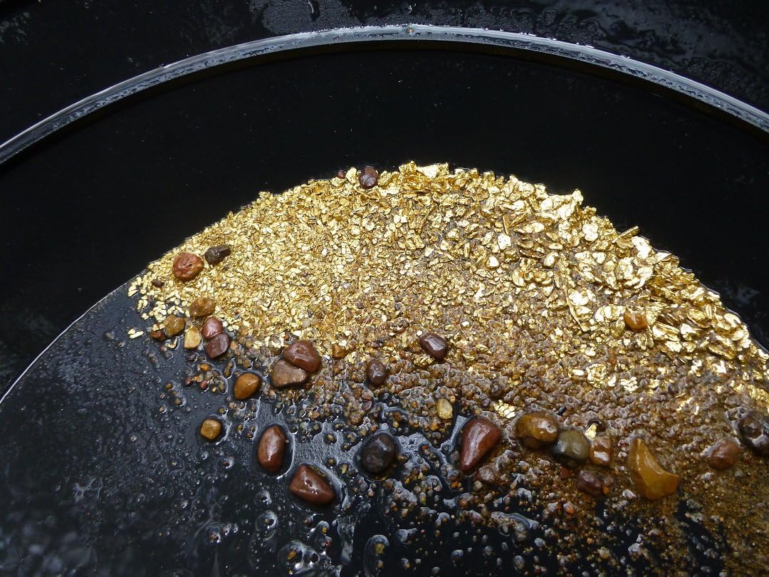 3 lbs. of Rich Unsearched NC Gold Paydirt, plus gold added!!!