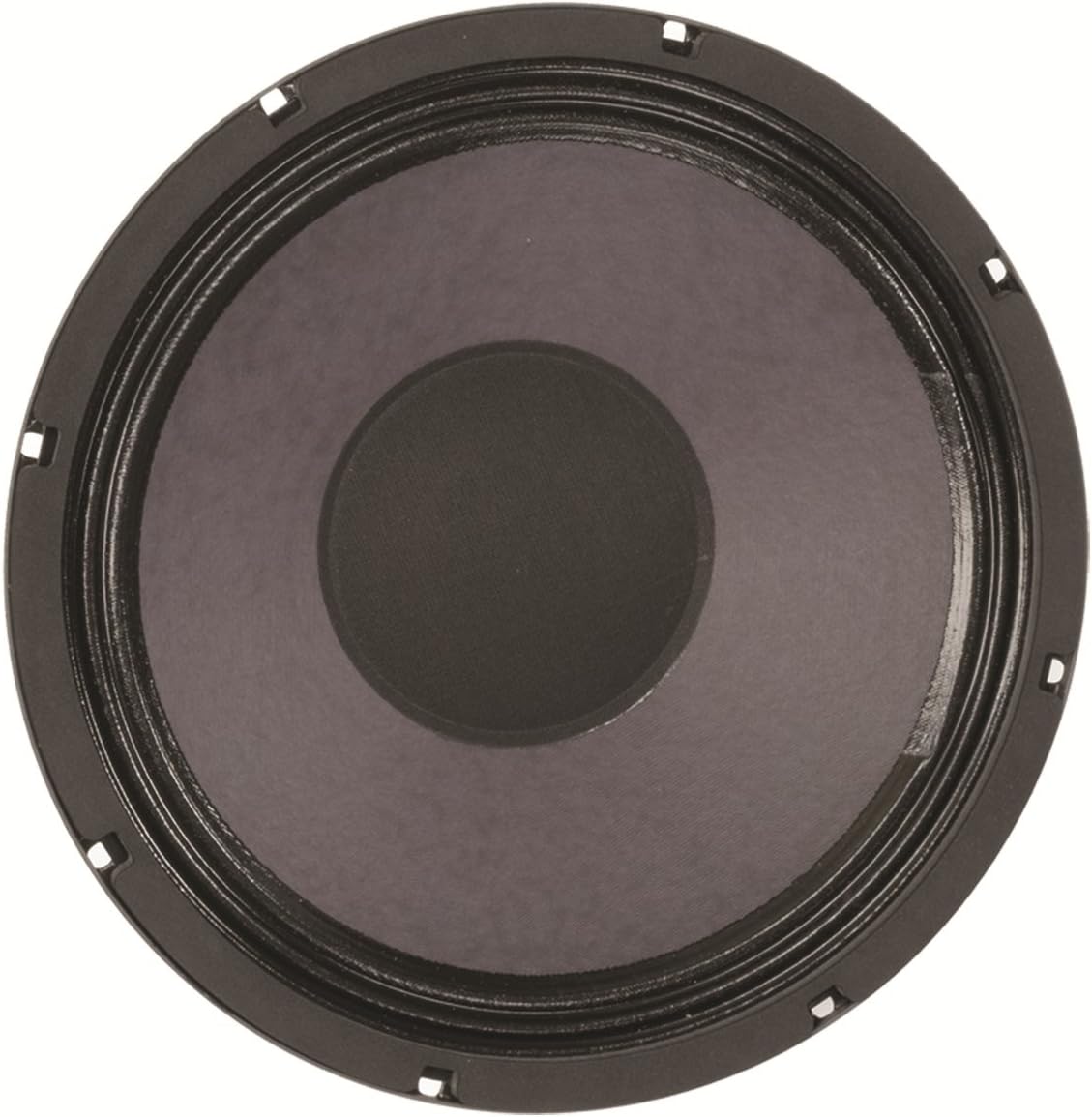 eminence ragin cajun 10 guitar speaker