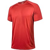 BRISIRA Coolmax Cooling Workout Shirts for Men Quick Dry Moisture Wicking Gym Tshirts Athletic Active Short Sleeve Tees