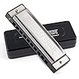 SWAN Blues Harmonica C Key for Kids Adults, 10 Hole 20 Tone Diatonic Harmonica Key of C for Beginners Students, Mouth Organ in Stainless Steel, Blues Power Silver