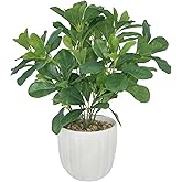 Hisow Artificial Potted Plant Leaves, 16.9" Artificial Shrubs Plants Arrangements Fake Eucalyptus Leaves with Vase Faux Greenery Leaf for Home Garden Table Centrepieces Indoor Décor