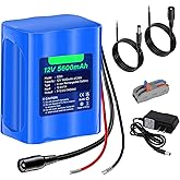 CITYORK 12V 5600mAh Rechargeable Battery Lithium with Charger, Bare Leads Wire Battery Pack Compatible with 12V Devices, DIY 