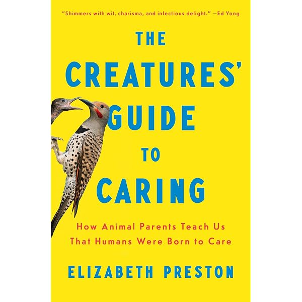 Monitor Lizards As Pets. Monitor Lizard Comprehensive Owner's