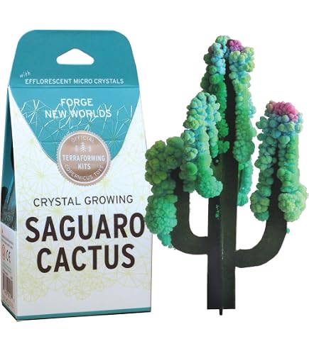 （新品‼️）Beyond our solar system ガラスキューブ Amazon.com: Copernicus Toys Crystal Growing Saguaro Cactus