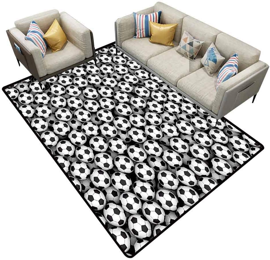 Best 2’6X10 Kitchen Runner