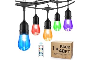 WENFENG 48 FT RGB Outdoor String Lights with Shatterproof String, Waterproof 15 S14 Bulbs, Dimmable LED Patio String Lights with Remote for Outdoor, Backyard, Porch,Yard