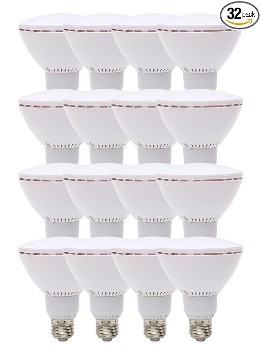 PAR30 LED Light Bulb