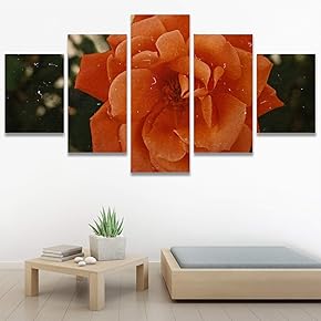 SIGNWIN 5 Panel Canvas Wall Art Orange Fields...