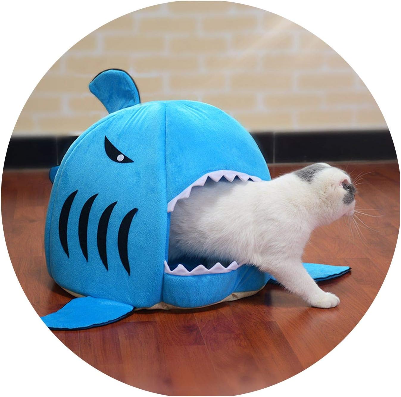 shark dog bed large