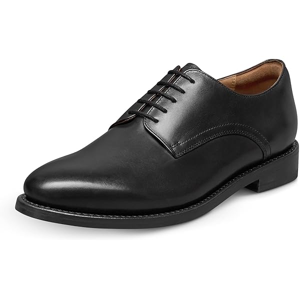 Amazon.com | Allen Edmonds Carlyle Chili Burnished Calf 10 E  display picture 3