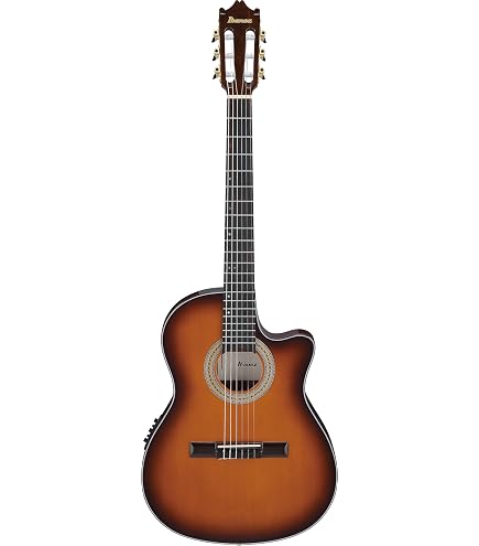 Amazon.com: IbanezGA35TCEDVS Thinline Acoustic-Electric Classical