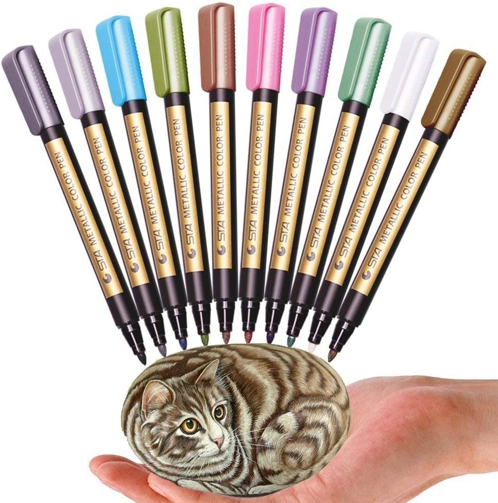 Paint Markers Pen (10 Color)