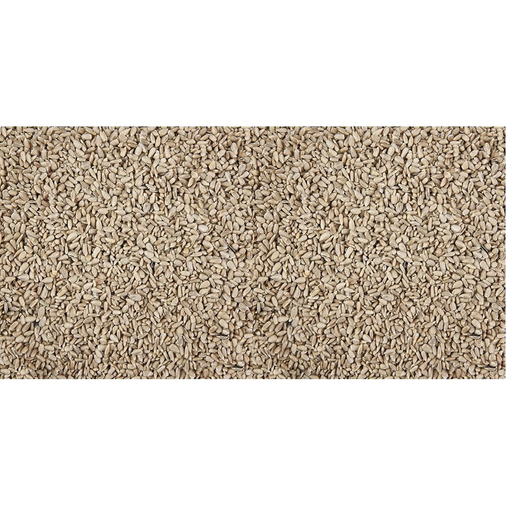VitalLeap Sunflower Hearts 5L Refill (Pack of 2) for Garden Birds
